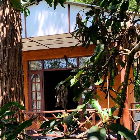 The Nirwana Cottage Ella Exterior foto